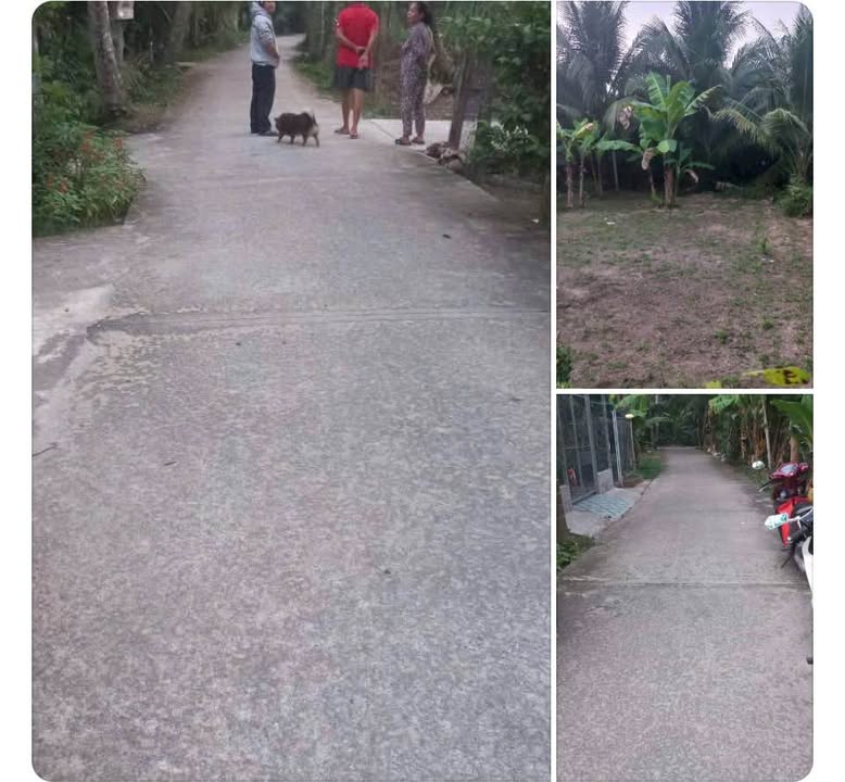 Đất nền Vĩnh Long 346.5m² Sổ hồng - Giá 690 triệu, Xã Tân Thạch