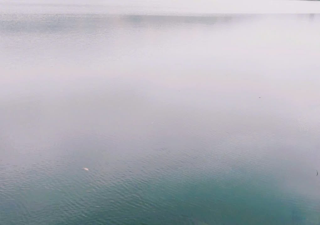 Đất vườn Hữu Lũng, Lạng Sơn 1.7ha - Nghỉ dưỡng lý tưởng!