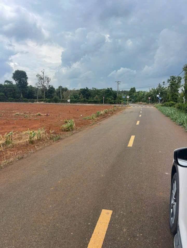 Đất nền Long Phước Bà Rịa 768m² giá 1.6 tỷ - Tiềm năng tăng giá!