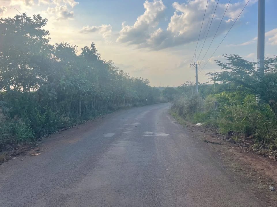 Đất Vàng Mặt Tiền Lê Thánh Tông, Gia Nghĩa - 2100m² Kinh Doanh, Làm Vườn