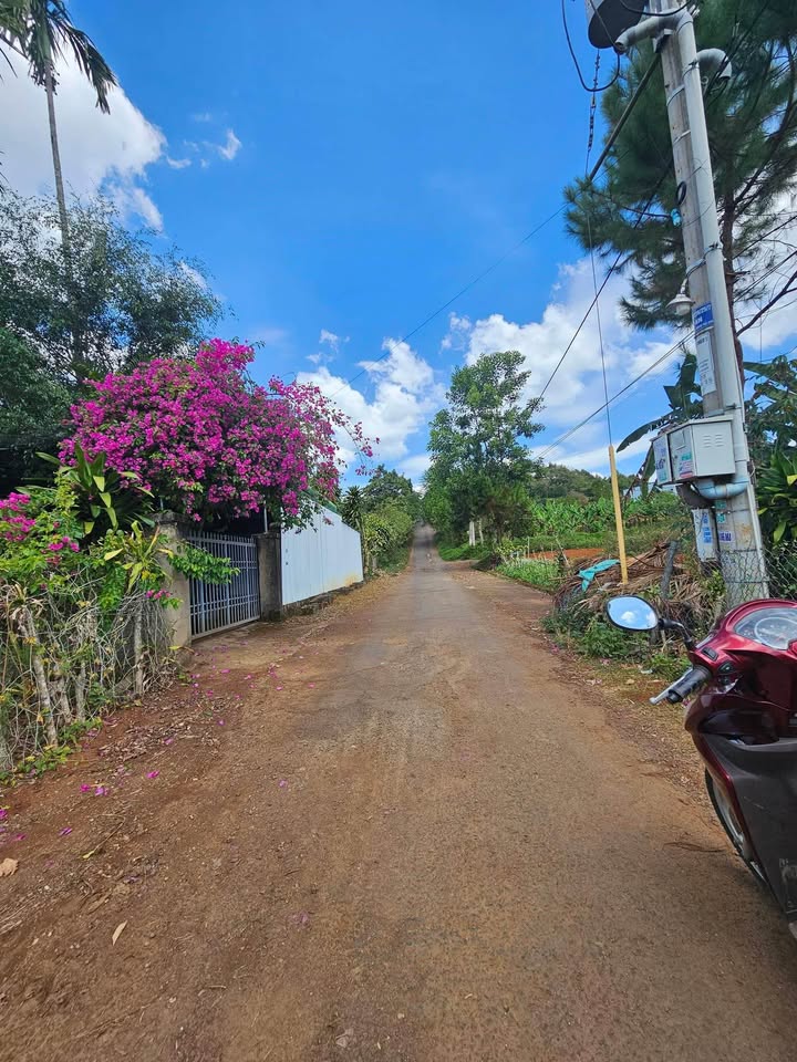 Đất Nền Mặt Tiền Đường Số 10 Lộc An, Bảo Lâm - 125m² Giá 750 Triệu