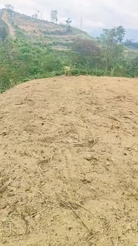 Đất Vườn Lộc Bắc, Bảo Lâm 5400m² - Giá Đầu Tư 850 Triệu