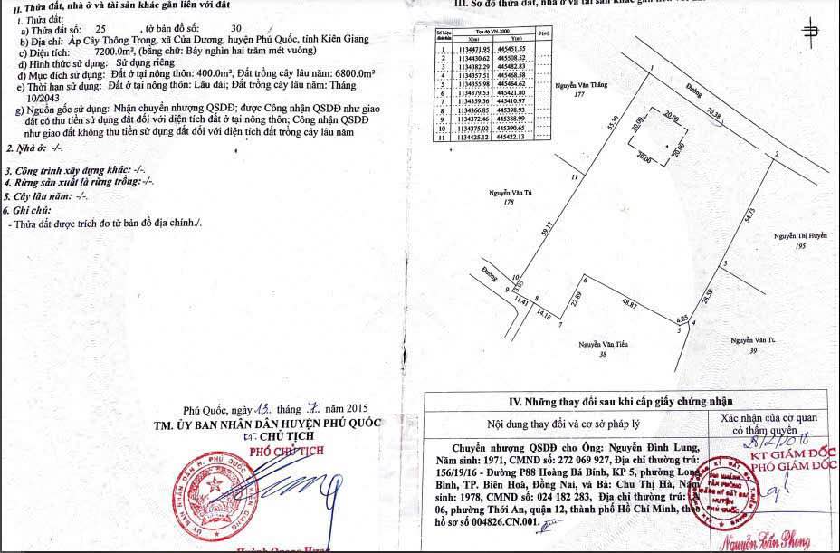 Bán Đất Cây Thông Trong Phú Quốc 7.200m² - Sổ Đỏ Chính Chủ Giá Tốt