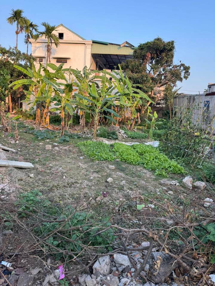 Đất nền An Dương Hải Phòng 88m² giá 1,7 tỷ - Sổ đỏ chính chủ