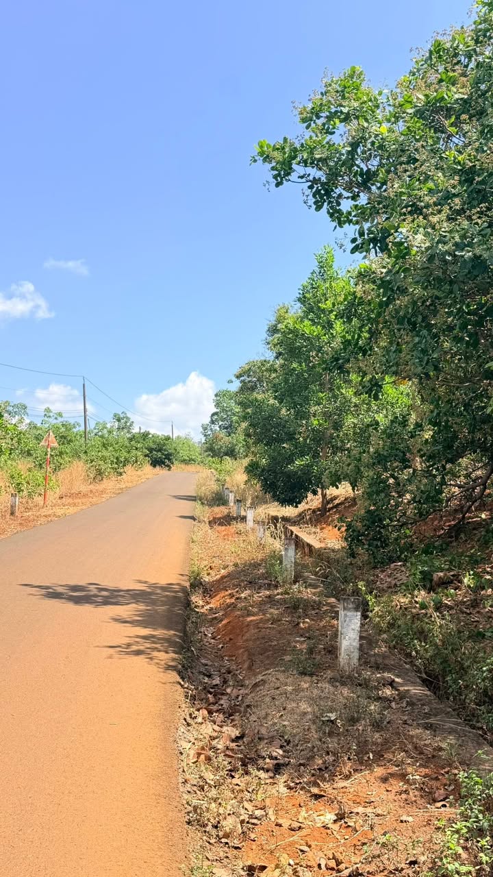 Đất vườn Xã Đồng Nai Bù Đăng 2ha giá 2 tỷ - Tiềm năng đầu tư dài hạn!