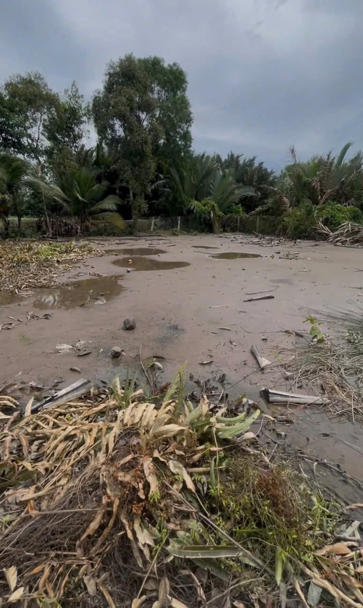 Đất Vườn Bến Lức Long An 360m² 1.8 Tỷ - View Thiên Nhiên Tuyệt Đẹp!