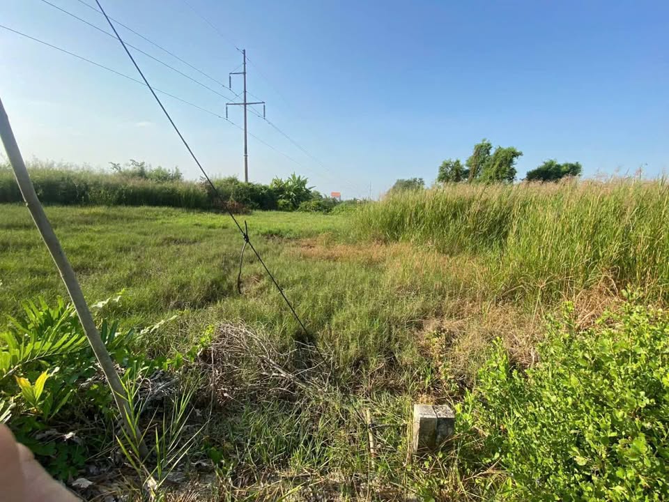 Đất vườn Cần Giuộc 500m² giá 750 triệu - Nghỉ dưỡng lý tưởng!