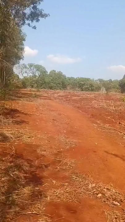 Bán Đất Vườn Xuyên Mộc 5300m² - Sổ Đỏ Rõ Ràng, Giá Đầu Tư 2.1 Tỷ