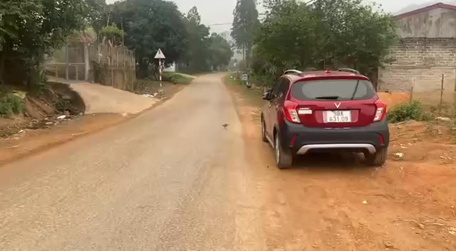 Đất nền Yên Thế, Bắc Giang 175m² - Mặt tiền Tỉnh lộ, giá 799 triệu