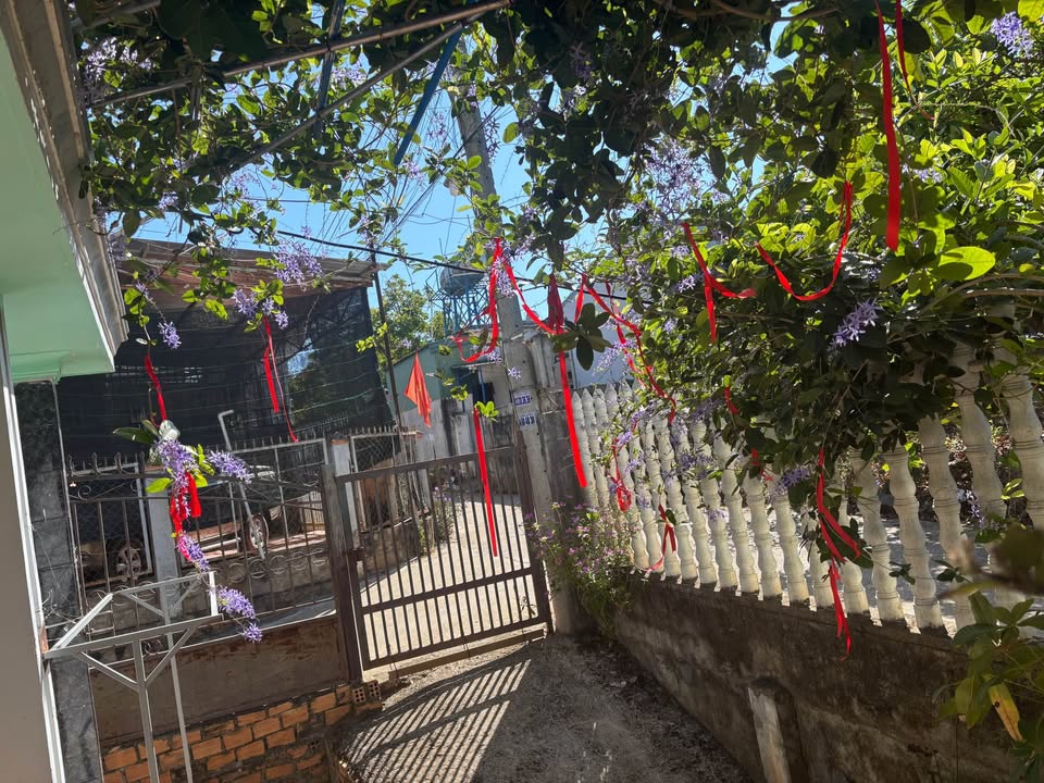 Nhà Nguyên Căn Nhỏ Xinh, Thị Trấn Liên Nghĩa, Đức Trọng - Sẵn Sàng Cho Gia Đình Nhỏ