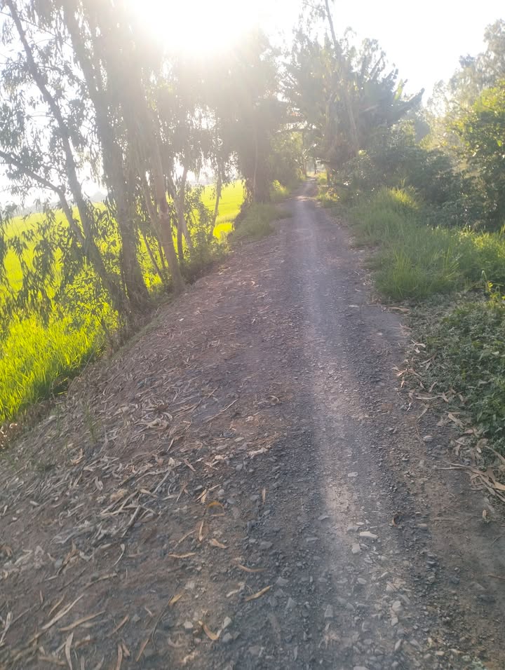 Đất Ruộng Gáo Giồng, Cao Lãnh 3480m² - Cơ hội đầu tư dài hạn!