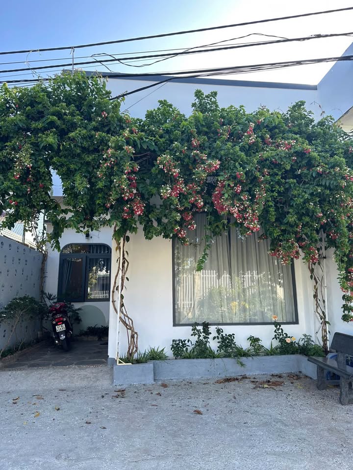 Bán nhà Phan Huy Chú BMT 120m² giá 2.95 tỷ - Vị trí đẹp ở ngay!