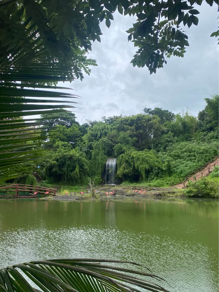 Đất Phường Thành Nhất BMT 120m² giá 800 triệu - Sổ đỏ chính chủ