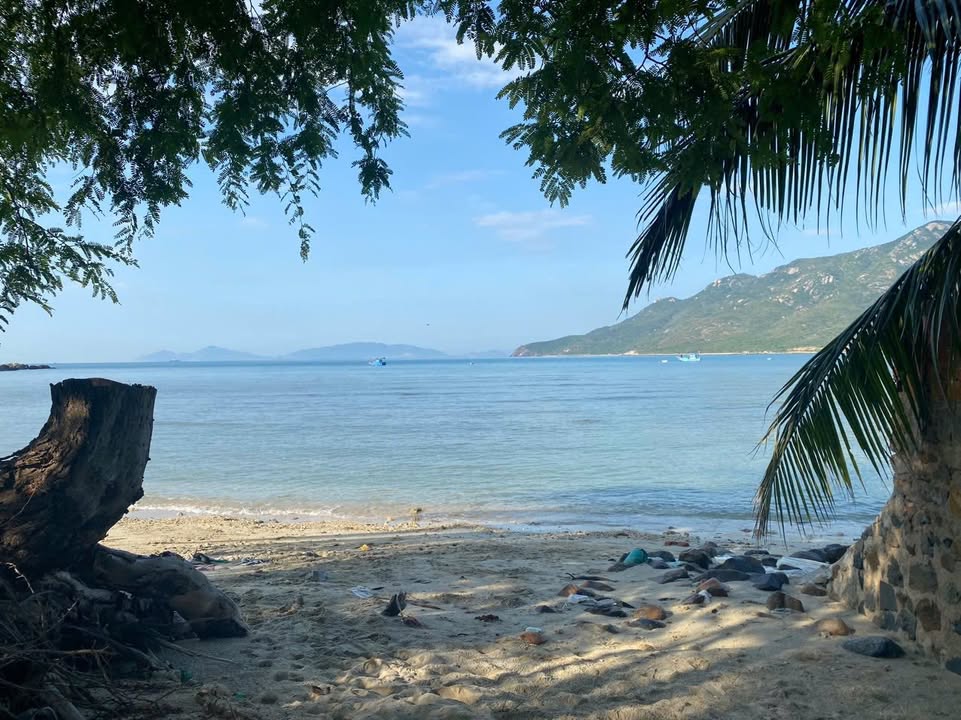 Đất nền Ninh Vân 1831m² - View biển đắt giá, sổ đỏ chính chủ!