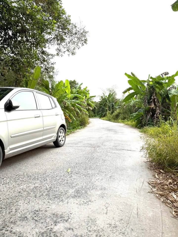 Đất Nền Cần Thơ 611m² - Sổ Hồng Riêng, Giá Tốt