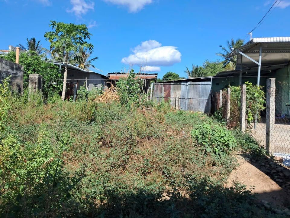 Đất thổ cư 135m² Phước Lộc, La Gi - Sổ đỏ sẵn sàng, dân cư đông đúc