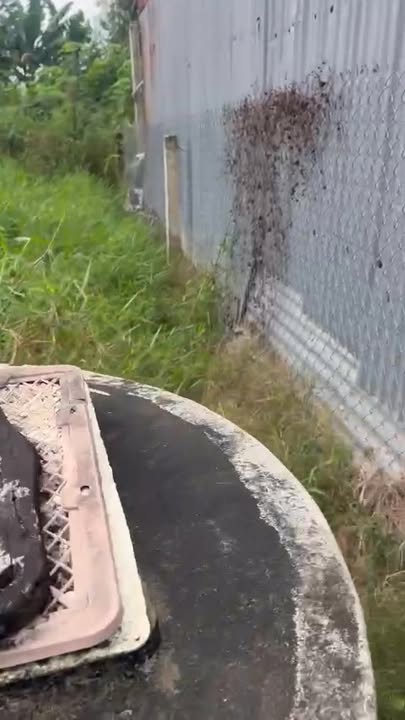 Đất nền Gò Công Đông 174m² giá 1.3 tỷ - Sổ hồng chính chủ