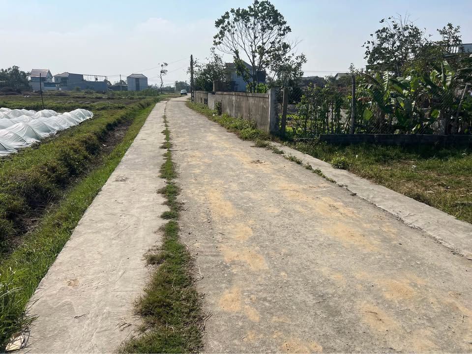Bán đất Nghi Phong, Vinh Lộc 82m² - Lối 2 đường lớn, giá tốt