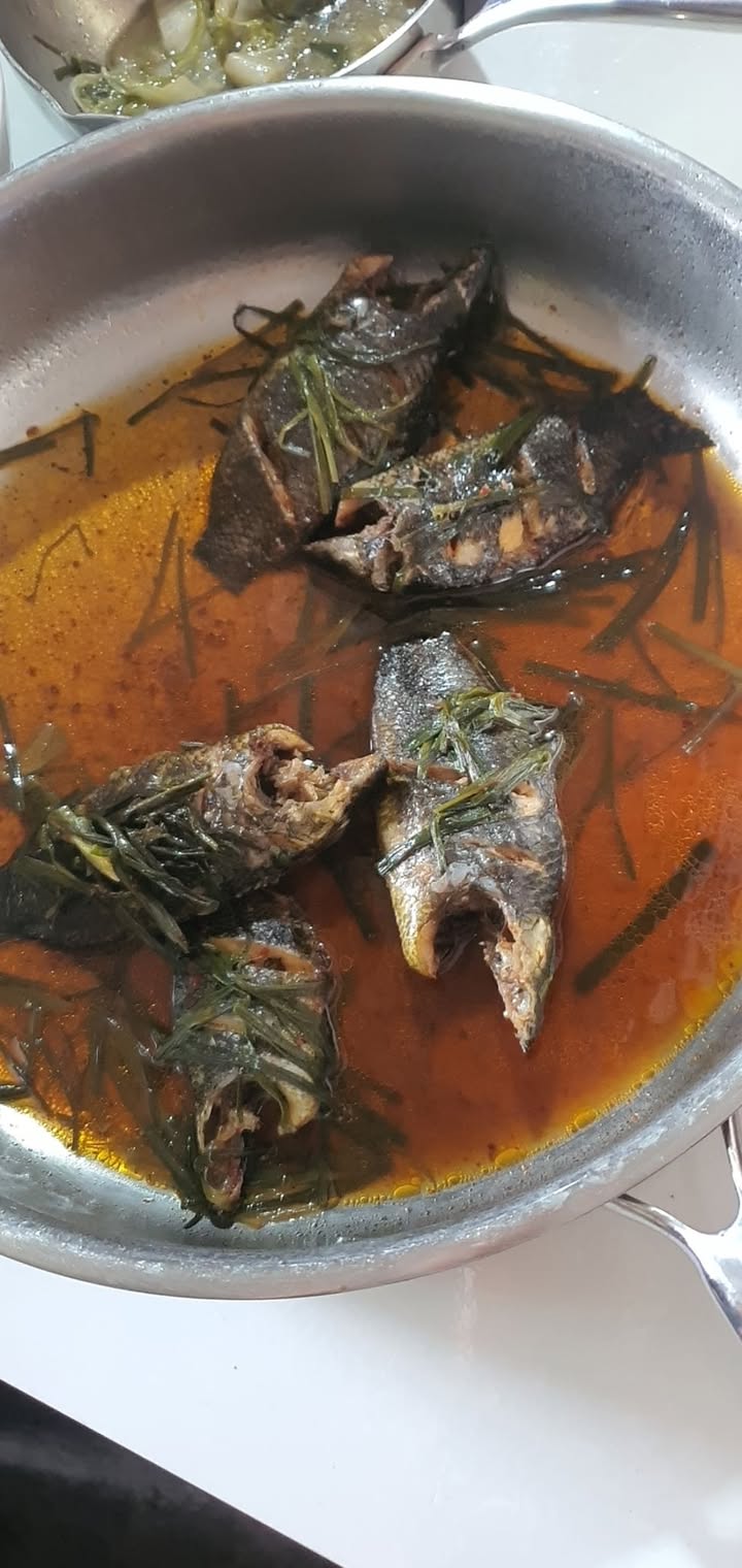 Bán Gấp Nhà Liên Kế 300m² Mặt Tiền Đường 3/2 Diên Sanh, Quảng Trị - Hướng Bắc