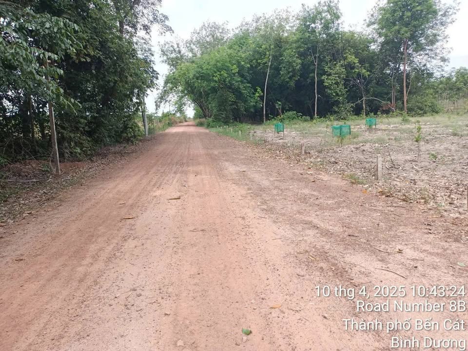 Bán Gấp Đất Vườn 2688m² Mặt Tiền Đường 6m - An Điền, Bến Cát, Bình Dương