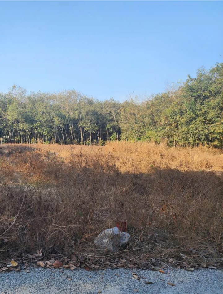 Bán đất Tân Hiệp Phú Giáo 225m² giá 620 triệu - Sổ đỏ chính chủ