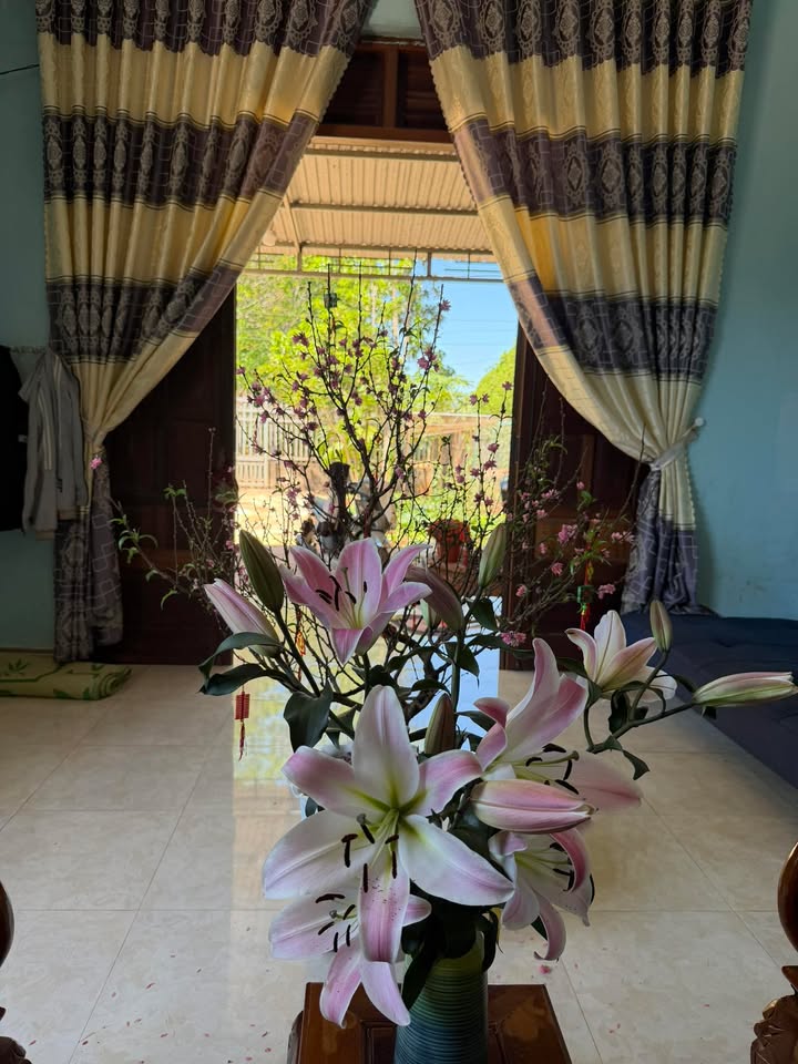 Đất nền Thị trấn Chư Sê, Gia Lai 495m² - Sổ hồng chính chủ