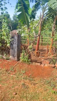 Đất Nền Sổ Đỏ 583m² Giá 3.3 Tỷ Tại Đức Cơ, Gia Lai - Sẵn Sàng Xây Dựng