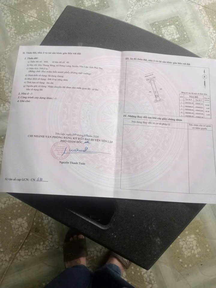 Đất nền Hưng Long, Yên Lập - 240m² Sổ đỏ, Giá 6xx Triệu