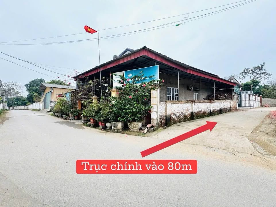 Đất Vĩnh Phúc 100m² Sổ Đỏ - Giá Đầu Tư Chỉ Từ 600 Triệu