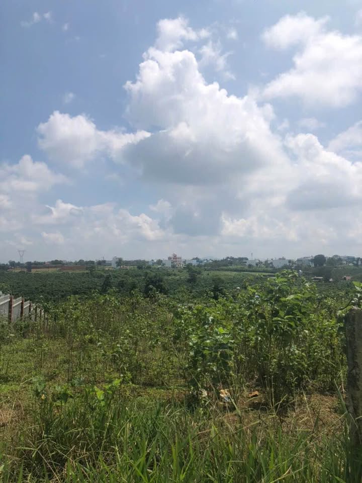 Đất Lộc Phát Bảo Lộc 1130m² giá 2.45 tỷ - Sổ đỏ chính chủ