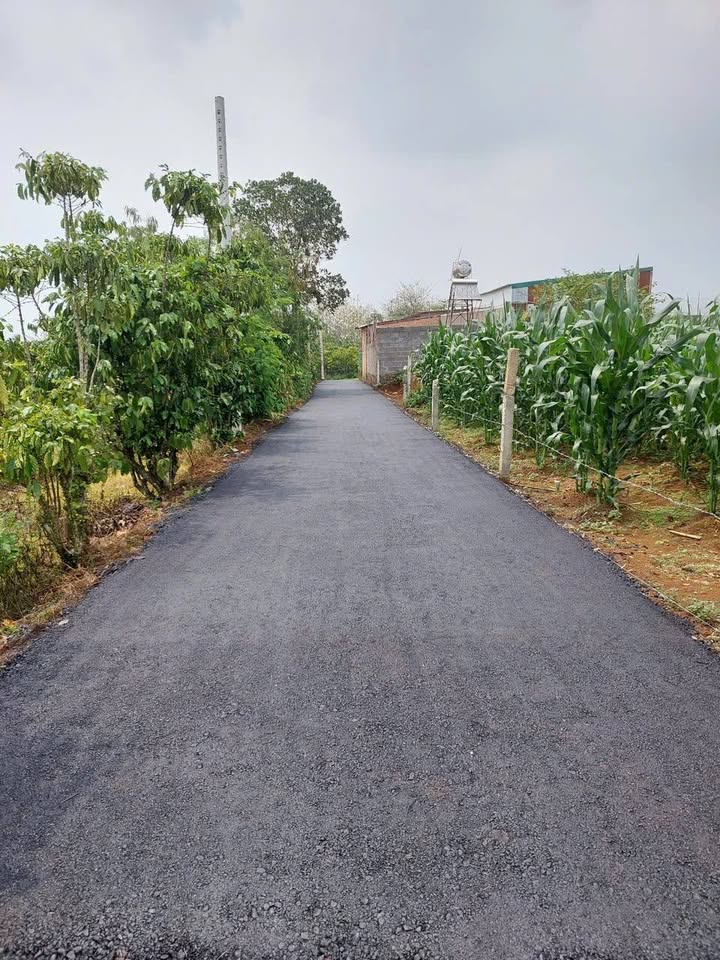 Đất Nền Bảo Lâm 210m² Sổ Thổ Cư - Gần Tỉnh Lộ 725