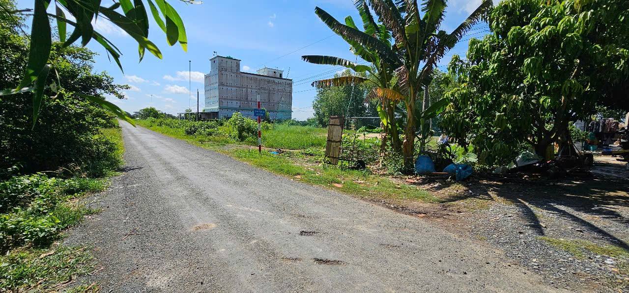 Đất nền 240m² sổ đỏ Xã Tân Hiệp, Long An - Giá 400 triệu, view sông