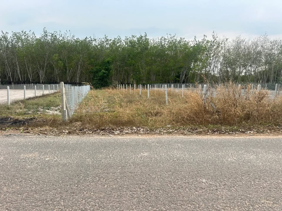 Đất nền Bến Cầu Tây Ninh 316m² giá 380 triệu - Sổ đỏ chính chủ