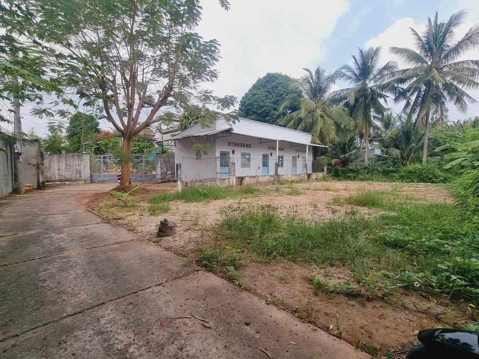 Bán đất nền 100m² Phường 1, Trà Vinh - Hẻm ô tô, gần công viên