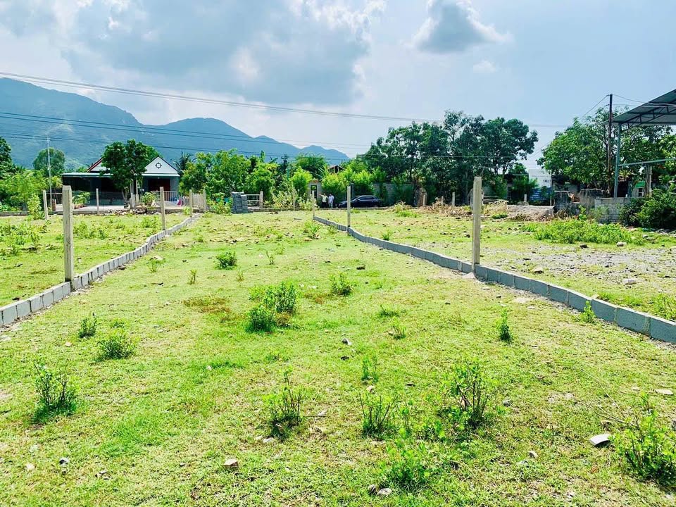 Bán Đất Phường Ba Ngòi Cam Ranh 476.1m² - Sổ Đỏ Hợp Thổ