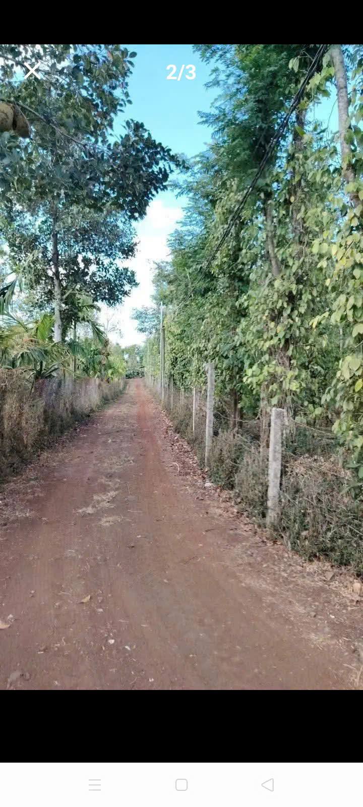 Đất Vườn Ea Kao Buôn Ma Thuột 2.200m² - Nghỉ Dưỡng Lý Tưởng