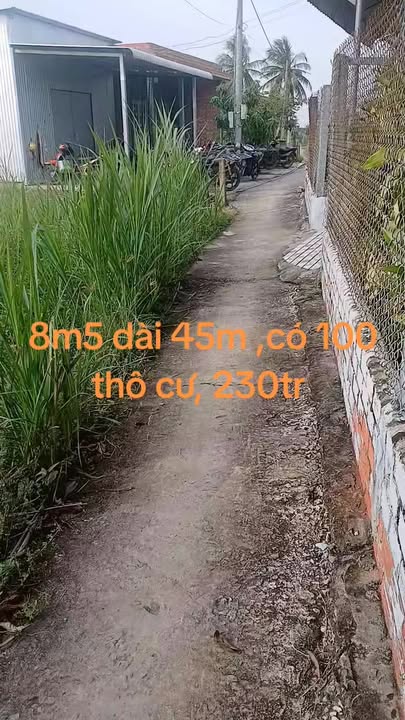 Đất nền Long Chánh, Gò Công 383m² - Sổ đỏ, giá tốt đón Tết!