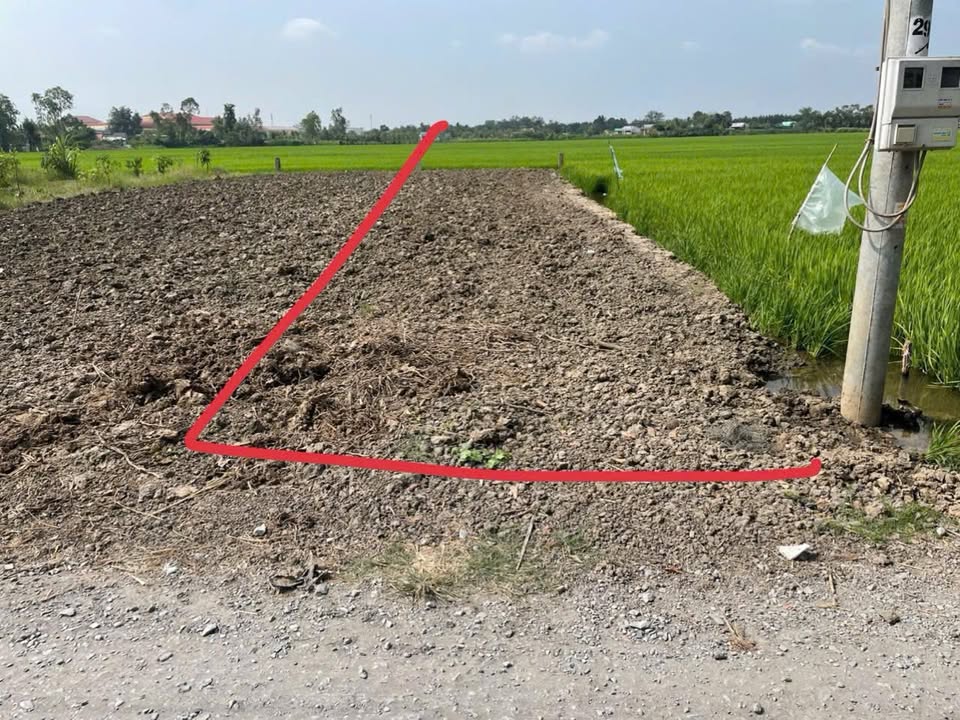 Đất nền Thạnh Trị 245m² giá 400 triệu - Tiềm năng tăng giá!