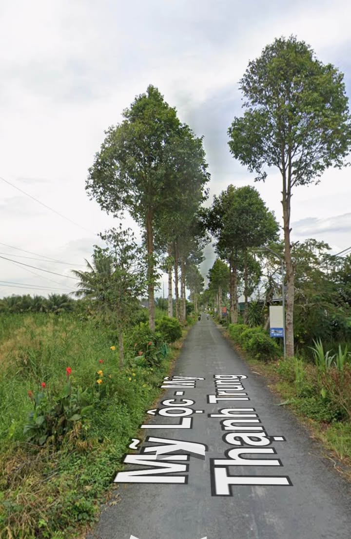 Đất nền Mỹ Thạnh Trung 225m² 720 triệu - Sổ đỏ chính chủ!