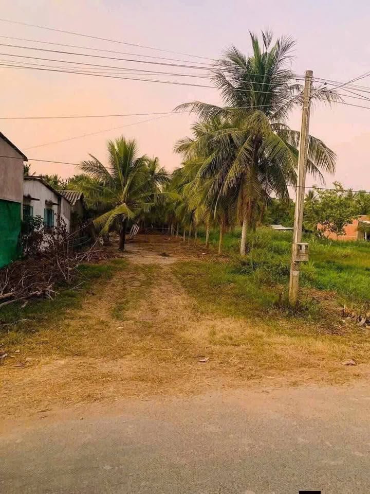 Đất nền Ba Tri 1000m² giá 950 triệu - Tiềm năng tăng giá cao!