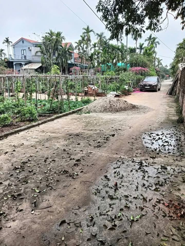 Đất nền Hồng Thái Phú Xuyên 68m² giá 1.9 tỷ - Đường to ô tô