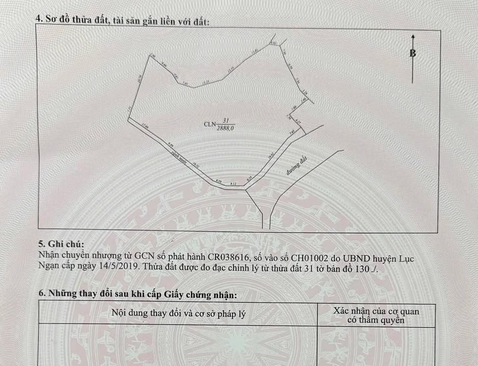Đất Vườn 2888m² Lục Ngạn, Bắc Giang - Chỉ 300 Triệu, Sổ Hồng Sẵn