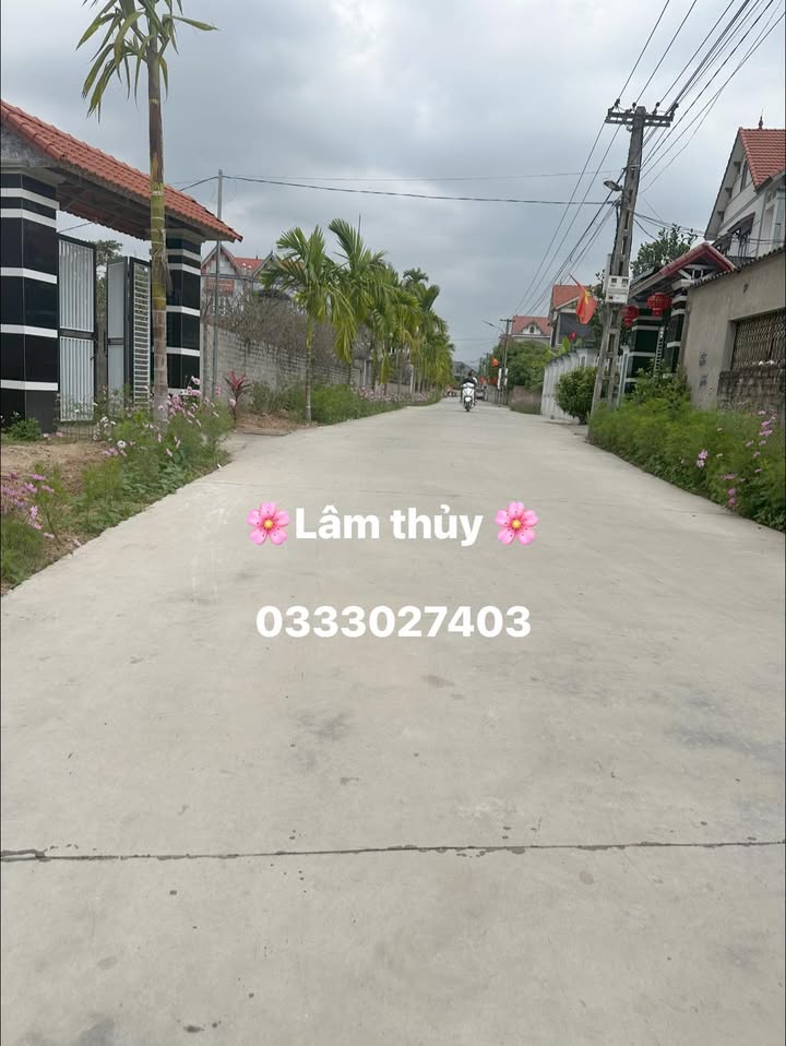 Bán Đất Nền TP. Bắc Giang 250m² Gần TL 295 - Sổ Đỏ Chính Chủ