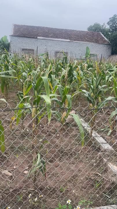 Bán đất Sơn Nam TP Hưng Yên 78m² giá 1 tỷ - Sổ đỏ chính chủ