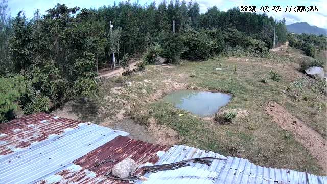 Bán Đất Vườn Ninh Sơn 2000m² Giá 300 Triệu - Nghỉ Dưỡng Lý Tưởng!