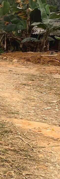 Đất Vàng 180m² Trung Tâm An Tường, Tuyên Quang - Sổ Đỏ Rõ Ràng