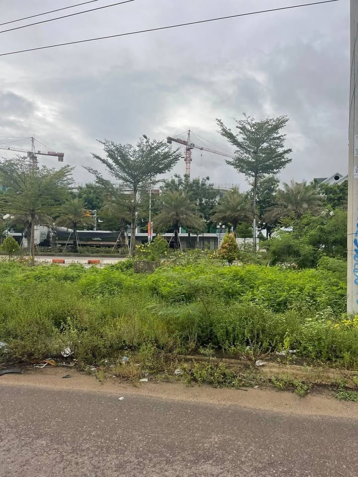 Đất nền Khu TĐC Đê Đông Nhơn Bình 96m² - Sổ đỏ chính chủ!