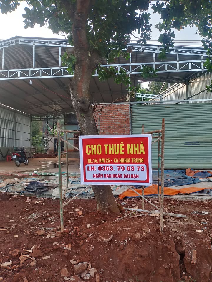 Đất nền 2ha Đức Liễu, Bù Đăng, Bình Phước - Sổ đỏ chính chủ