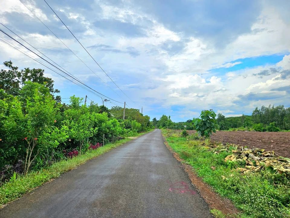 Đất nền Lộc Phú Lộc Ninh 225m² - Tiềm năng tăng giá