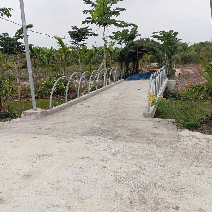 Đất Thổ Cư Sổ Riêng 130m² Tại Tân Phước, Tiền Giang - Chỉ 250 Triệu